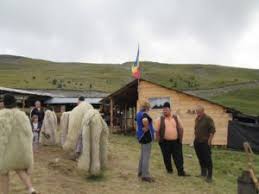 Tocana de urzici este hranitoare si in acelasi timp un imbunatateste sistemul imunitar. Tocanul De Oaie De Pe Transalpina Primul Produs Atestat TradiÈ›ional Din Gorj Ziarul Agricol