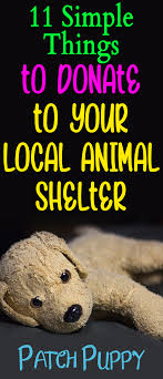 Simple Things To Donate Can Come In Handy At Your Local Shelter They Can Make Life A Lot More Comfortable For Animal Shelter Donations Pet Care Animal Shelter