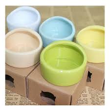 Find this pin and more on perfect pets by victoria gant. George Jimmy Pet Supplies One Ceramic Feeding Pot Anti Splash Food Bowl Water Box For Squirrel Hedgehog Hamster 7 5x5 5cm Green