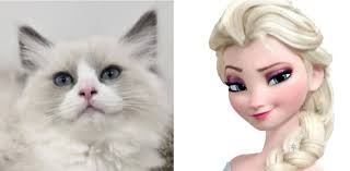 Hello, I'm Elsa and something to know about me is