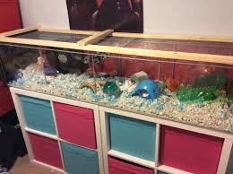 Amazon Com Page Not Found Hamster Cage Hamster Habitat Hamsters As Pets