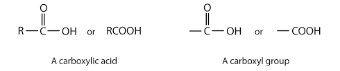 Chapter 4 Carboxylic Acids Esters Che 120 Introduction To Organic Chemistry Textbook Libguides At Hostos Community College Library