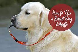 How To Use A Silent Dog Whistle Thedogtrainingsecret Com Thedogtrainingsecret Com