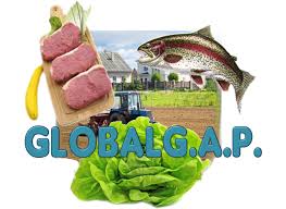 Quy trình chứng nhận Globalgap - Aitech