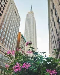 Diccionario De Nueva York 20 Palabras Tipicas Para Tu Viaje New York City Outdoor Structures Empire State Building