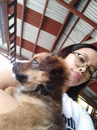 Flor Solabar Toroctocon