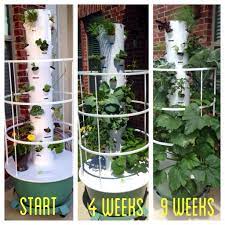 My Juice Plus Tower Garden Progress From Start To Nine Weeks Juiceplustowergarden Towergarden Growyourown Juice Plus Tower Garden Tower Garden Juice Plus