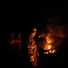 Flames can be seen at a roadside in brazil (image: Brazil Pantanal Scorched By Fires The New York Times