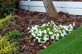 If you are starting a new flower bed or planting a vegetable garden, you should use mulch and reapply as often as needed thereafter. Mulching And Low Maintenance Gardening Gardener S Path