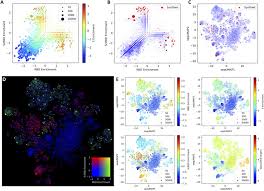 Check spelling or type a new query. Ijkej0j92wsmqm