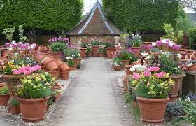 Pin On Gardening