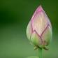 Presence & Possibilities Retreat, 4-days / 3-nights event image