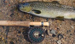 The fly rod comes in 9 feet long that offers easier throw whereas it weighs 6w which lets you chase after smaller fish in the restricted area with ease. Featherweight Fly Fishing On The Water
