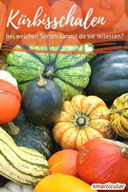 Welche Kurbissorten Kann Man Mit Schale Essen Kurbissorten Kurbis Und Hokkaido Kurbis