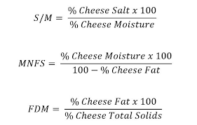 Cheese Making Technology Ebook