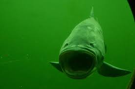 Maybe you would like to learn more about one of these? Mototrips Lomecek U Domazlic