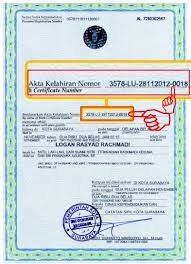 2 ialah no register akta lahir yang menjadi inputan di dapodik 2. Dapodikonline Com Panduan Aplikasi Pendidikan Untuk Guru Operator Sekolah Dan Tenaga Kependidikan