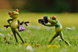 But most people would rather skip the studying and stick with entertainment—turns out, you can do both with some funny facts. Fun Facts About Best Friends In 2021 Help Rx Net
