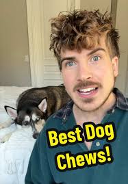 Introducing TalePets: Premium Dog Chews for Your Pup