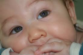 Did You Know That Tiny Little Blue Vein On Your Baby S Nose Might Actually Mean Something Have You Heard The Term Baby Health Calendula Benefits Kids Health