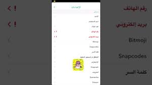 ثورة مصراع الإيقاع كيف اخلي سنابي عام زي المشاهير comertinsaat com