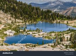 21 California Blue Doris Royalty-Free Photos and Stock Images