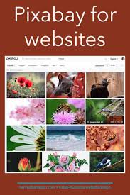 Kerry A Thompson Website Design Pixabay Free Images For Commercial Use Small Business Website Design Diy Web Design Website Design Others are also great but pixabay is better.