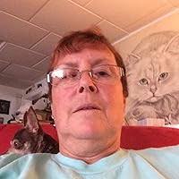 As The Stars Fall (Books for Dog Lovers, #1) by Steve N. Lee