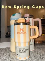 Vibrant New Stanley Cups for Summer Enthusiasts
