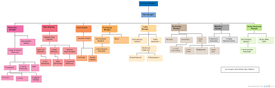 Johnson And Johnson Org Chart Www Bedowntowndaytona Com