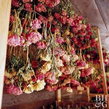 Bunch the flowers together with the rubber band, then hang them upside down. How To Dry Peony Flowers Better Homes Gardens