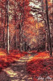 Blog Tyler Clay Media Autumn Landscape Landscape Photography Landscape