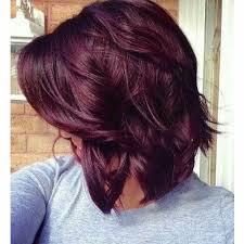This is a long red hair which has been styled into a beautifully braided french braid. Pin By Nooma Sharma On Hair Beauty 3 Hair Color Plum Hair Styles Plum Hair