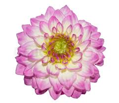 Related image