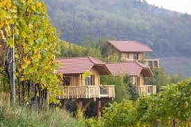 Schwarzwalder Waldhuttenzauber Baumhaushotel Oberkirch Ortenau Baden Baumhaushotel Hotel Schwarzwald Hutte Im Wald