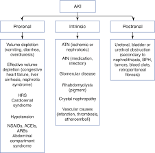 Image result for Postrenal Failure