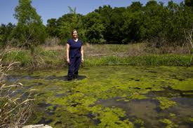 In booming Central Texas, wastewater is polluting rivers and streams - The  Texas Tribune