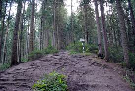 Cascada duruitoarea, este un monument al naturii cu regim de arie protejată de interes național situată în masivul ceahlău. M CeahlÄƒu Cascada Duruitoarea Lacul Bicaz