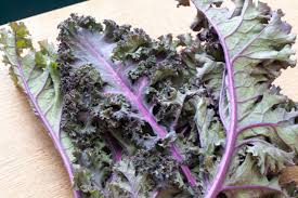 How To Cook Red Kale Livestrong Com Red Kale Purple Kale Red Russian Kale