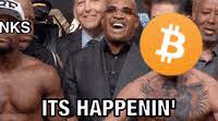 It's the year 2019, anything that goes viral turns into a meme or a gif which gets circulated all over the internet making people laugh and sometimes. Bitcoin Meme Gifs Get The Best Gif On Giphy