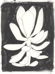 Ellsworth Kelly Plant Drawing Ellsworth Kelly A Level Art Sketchbook