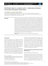 Find out how a new discovery explains why prehistoric camel fossils were found in the arctic, today on tkn! Pdf Old World Camels In A Modern World A Balancing Act Between Conservation And Genetic Improvement