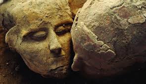 Wisent Skull ☠️🫎 Just remembered some posts about wisent skull recently  and had to clear the map for my villagers when i noticed you get skulls if  the wisent was shot through