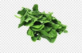 Bunga musim semi, bayam, smoothie, makanan, sayur, resep, chard, salad png. Bayam Komatsuna Collard Hijau Sayuran Musim Semi Chard Sayur Daun Sayuran Makanan Bayam Png Pngwing