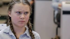 Greta Thunberg Climate Change And Indian Dilemma Greta thunberg on whether she'd meet with the president.