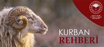 Kurban Rehberi