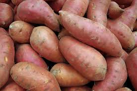 Sweet potato