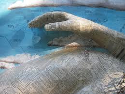 Recumbent Landscapes — Lost Art