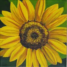Georgia Okeefe Georgia O Keefe Art Georgia Okeefe Okeefe Flowers