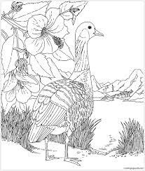 Printable of hawaiian flowers coloring pages are a fun way for kids of all ages to develop creativity, focus, motor skills and color recognition. Nene And Hibiscus Hawaii State Bird And Flower Coloring Pages Flower Coloring Pages Coloring Pages For Kids And Adults